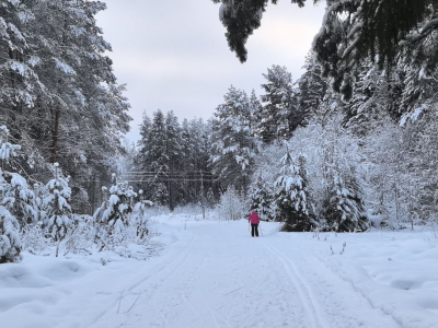 Поиски семьи Усольцевых в Красноярском крае возобновили после паузы: причина