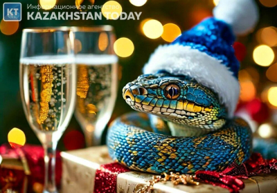 С наступающим Новым годом!