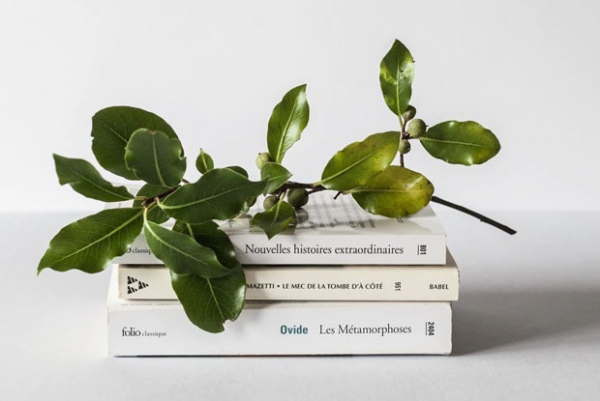 Стипендии и стажировки января