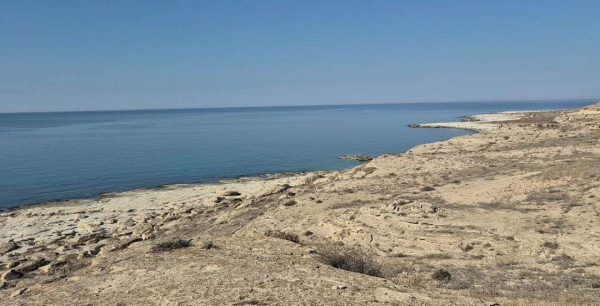 В условиях водного кризиса