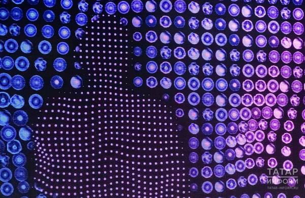 Казань вошла в топ-3 городов по числу пользователей нейросетей