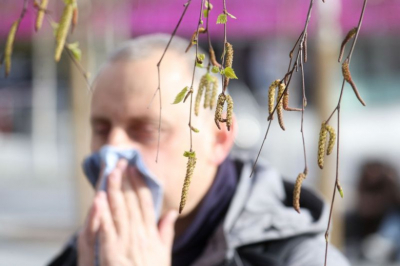 Иммунолог ответила, куда можно уехать от цветения березы