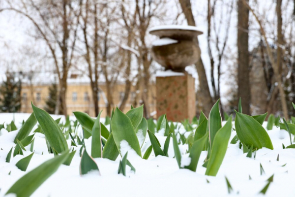 Конец теплу и весне: на Москву надвигаются метель и ледяной дождь, прогноз