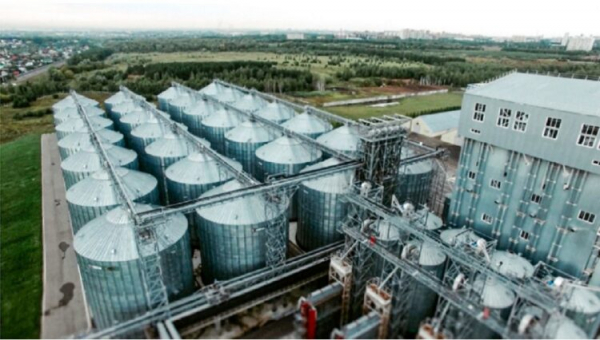 Татарстан хотят нарастить экспорт АПК до 900 миллионов долларов