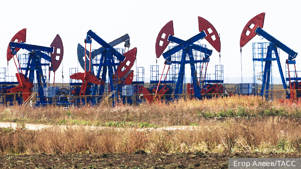 Пентагон поставил под сомнение статус НАТО как военного альянса